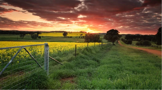 a fenced in field with a sunset in the background
